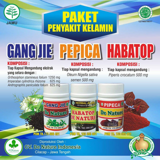 Illustration for article titled Obat Herbal Alami Varikokel